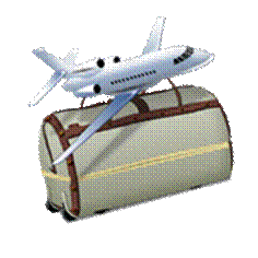 icon_Travel.png