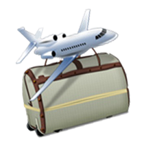 icon_Travel.png